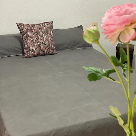 Apartamento En Primera Linea De Playa Con Piscina. *